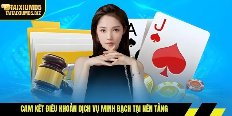 Cam kết điều khoản dịch vụ minh bạch tại nền tảng