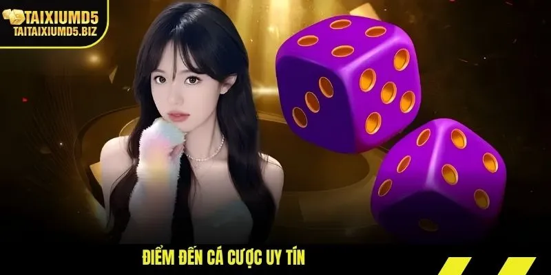 Điểm đến cá cược uy tín