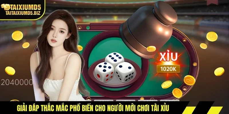 Giải đáp thắc mắc phổ biến cho người mới chơi tài xỉu