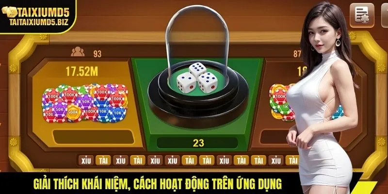 Giải thích khái niệm, cách hoạt động trên ứng dụng