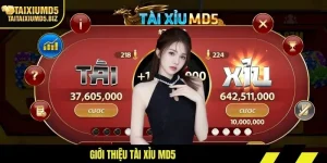 Giới Thiệu Tài Xỉu MD5