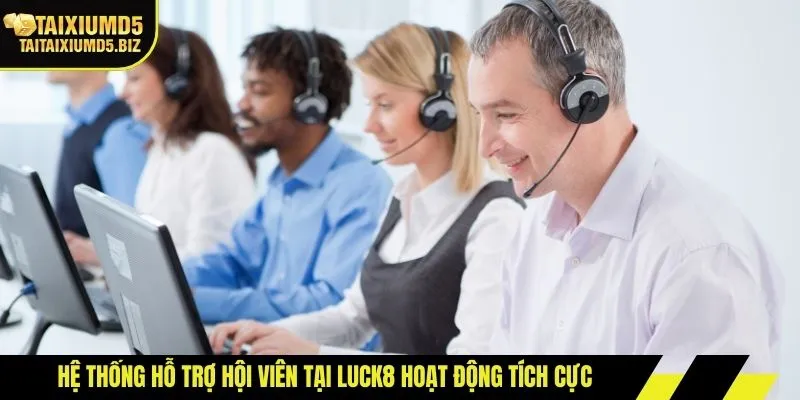 Hệ thống hỗ trợ hội viên tại LUCK8 hoạt động tích cực