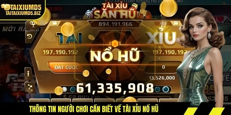 Thông tin người chơi cần biết về tài xỉu nổ hũ