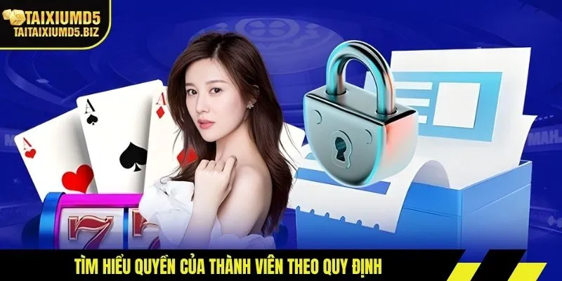 Tìm hiểu quyền của thành viên theo quy định