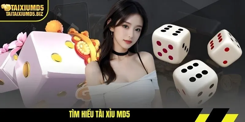 Tìm hiểu Tài Xỉu MD5