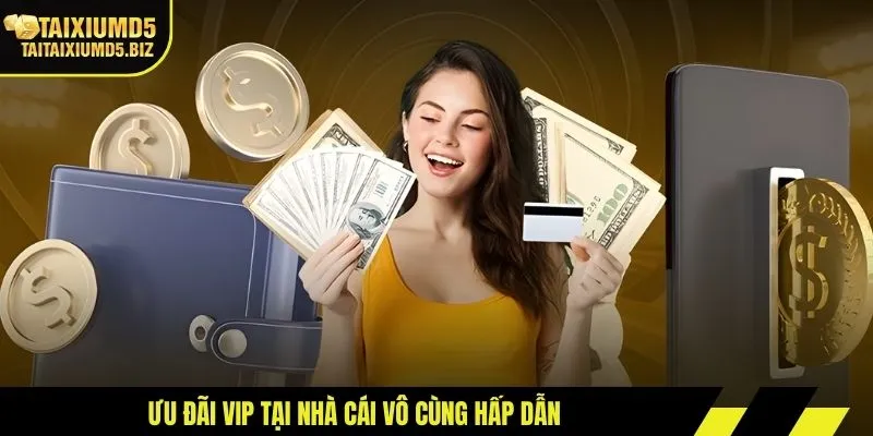 Ưu đãi VIP tại nhà cái vô cùng hấp dẫn